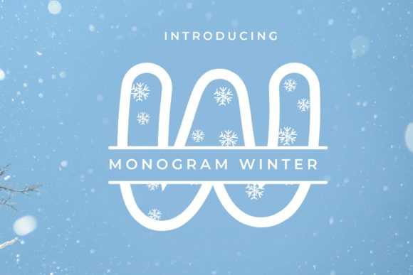 Monogram Winter: A Designer's First Impressions and Practical Use